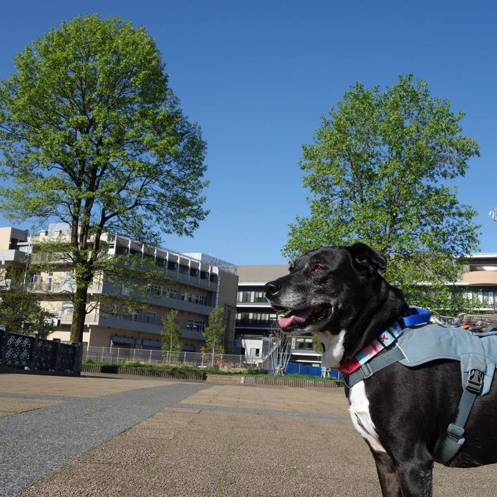 346f74cb c4b6 483c b49b aa40df282421 1744763345772