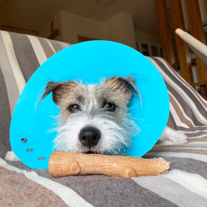 346f8d45 3a93 47ce 8fb8 1d7256e1e4a8 1569803659618