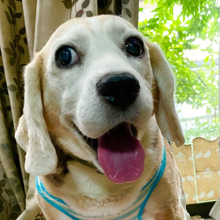 346f8fc3 2446 4559 8a0e 5a4167f0ed97 1658212358529