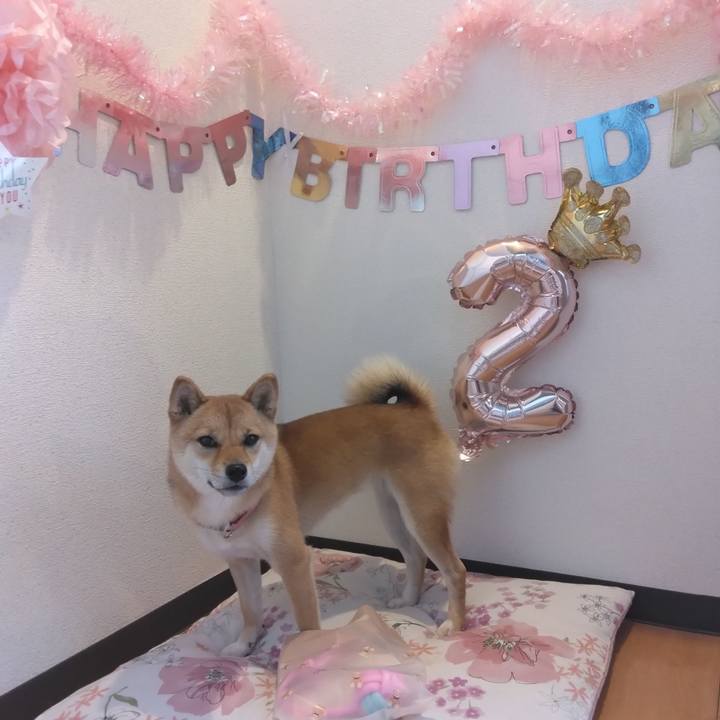 346fa668 00ba 4502 9ec8 8cec85ee11cf 1756764838548