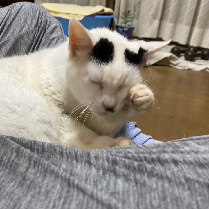 346fb7d3 d418 4100 9404 d74aa83022dd 1665668730210