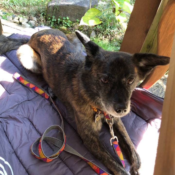 346ffd3e 9286 4765 a2e0 064e29354451 1571744468745