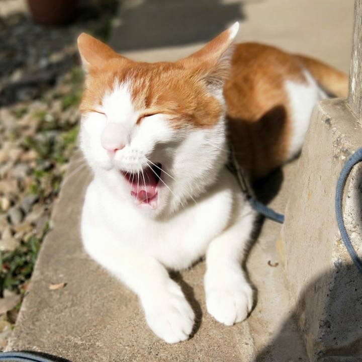 347008f0 905f 44ff 9a8b 2722b0be5fcb 1522467353901