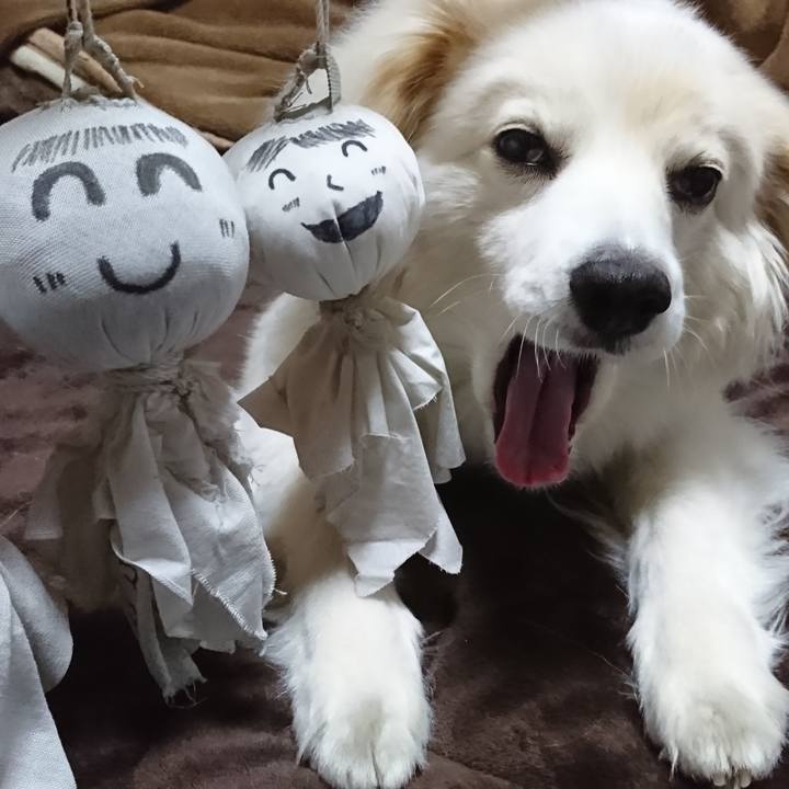 34702fb7 1f19 41fa b5ba d599578a629d 1523738930834