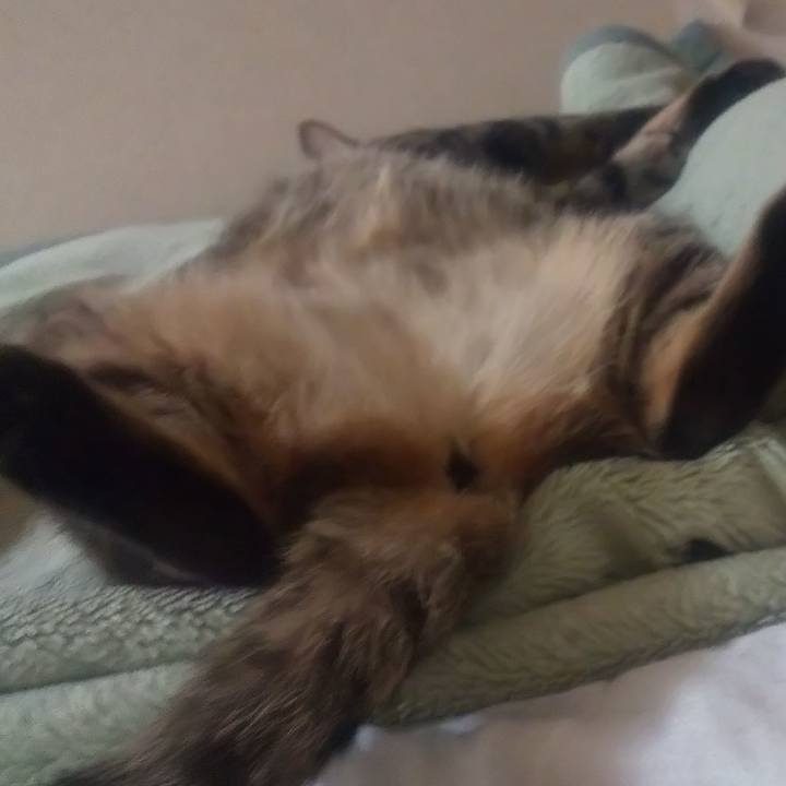 347076d9 775c 4f32 9abf f2440f749f3a 1689350169366