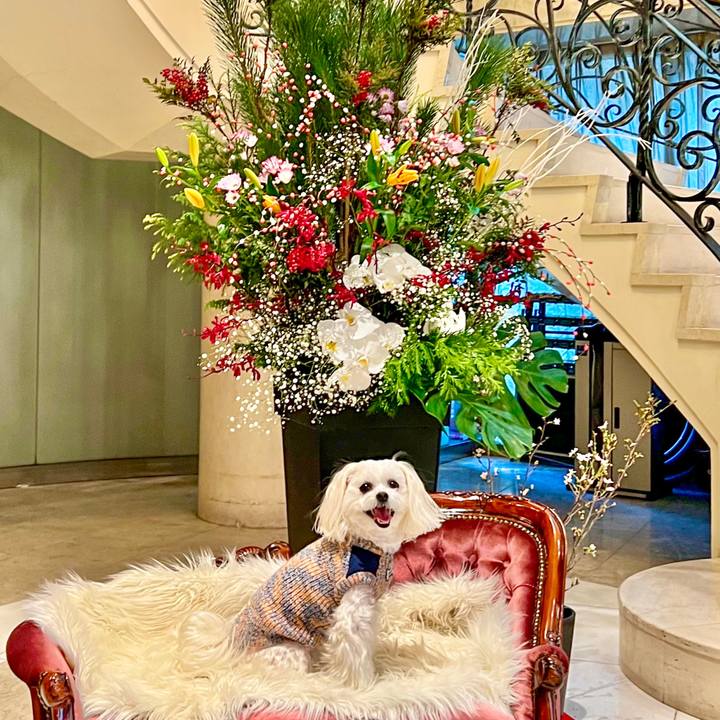 34707f5a a3f3 48da 8fdc 51dd45c32f90 1672747434223