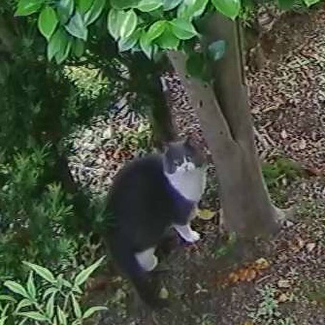 34707fbc 1e6a 4455 b999 a4b20d5ab694 1591077836462