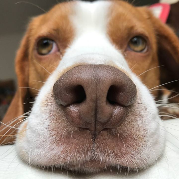 347083de c7f8 4f6e 97ed 0609f0c737da 1523623517513