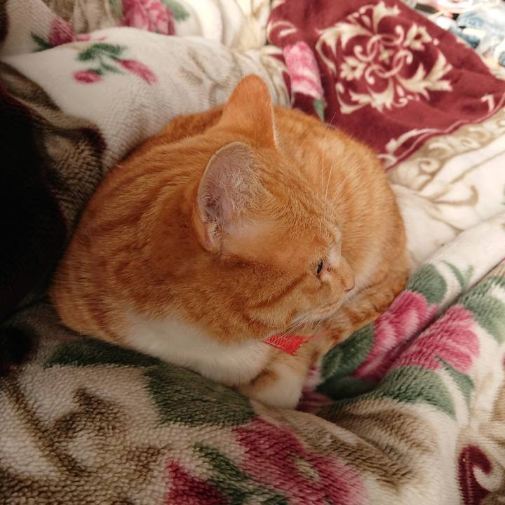 347097c2 1ea4 4a7a b050 98293d45cbf7 1576286179585