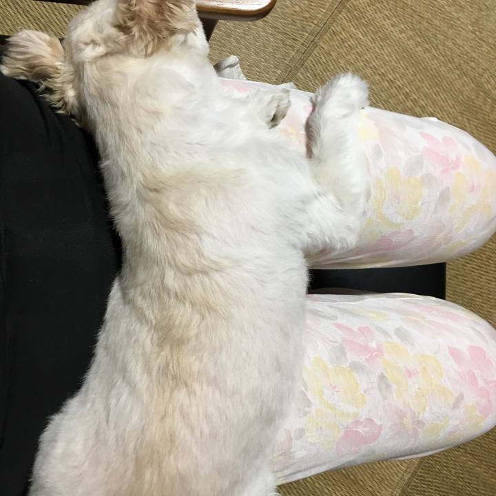 3470cf81 43d3 4614 87b6 ad3f424569ea 1534940717701