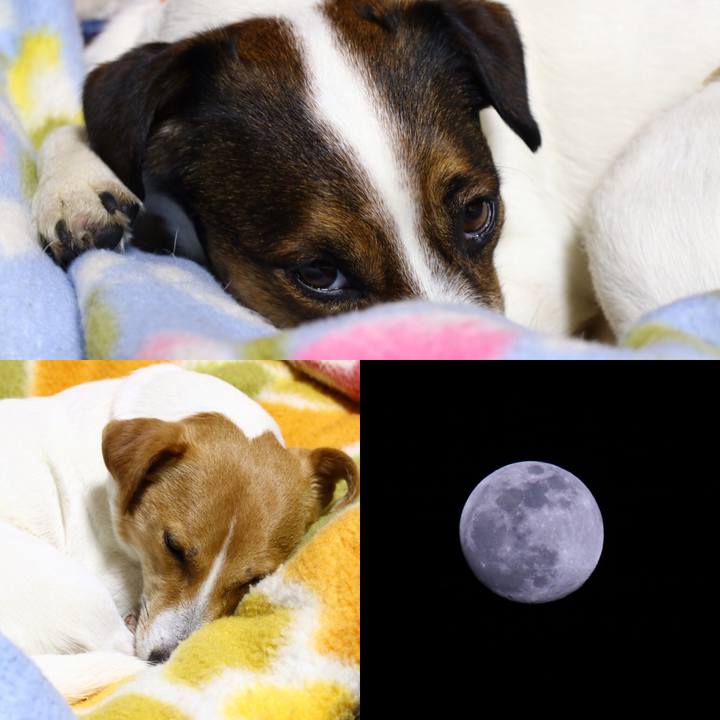 34713666 1f3b 4651 a040 12e51d191810 1550489049442