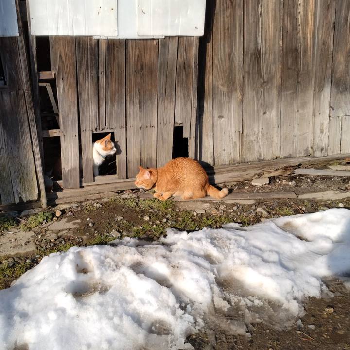 347152b0 f14b 4a8c a827 ca11845ba26d 1735881996682