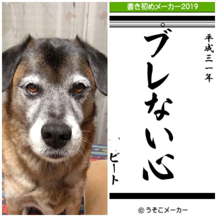 34715738 d492 4b84 be1d e8df57df3527 1546511513574