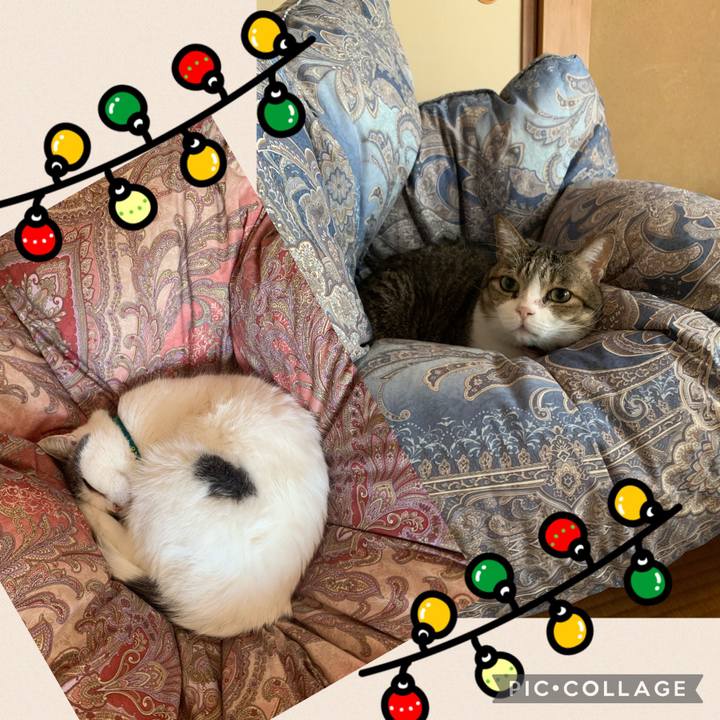 3471680a b48b 46b5 9514 00ec26afc4ff 1671165851221