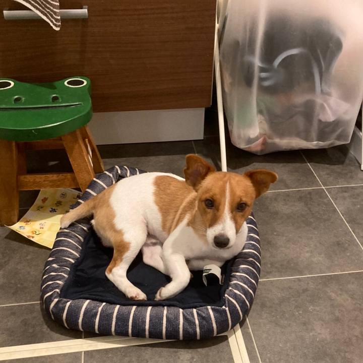 347168af dbea 419d b8eb 41f245ccefd8 1602737674799