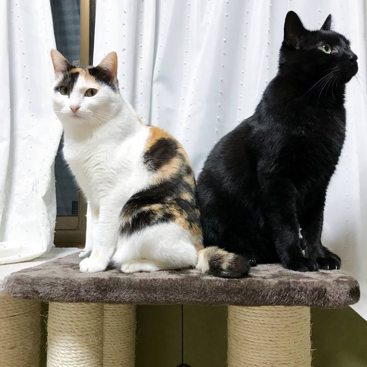 3471c63e 4828 4dfa b9fd 956d79324c36 1524752864739