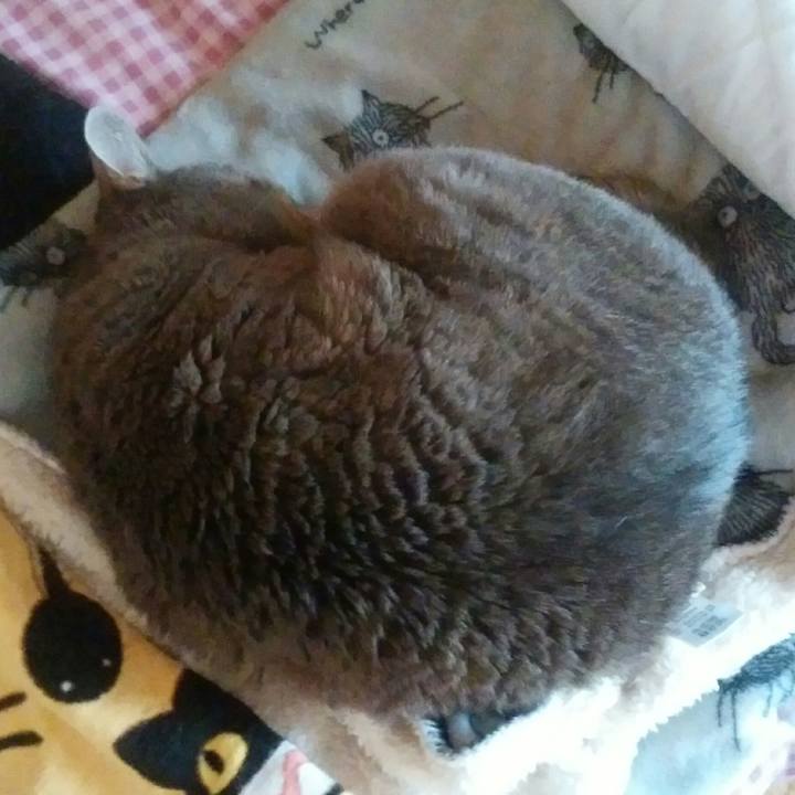 3471ed36 7c2b 432c 96a0 9a9670de286f 1523010644898