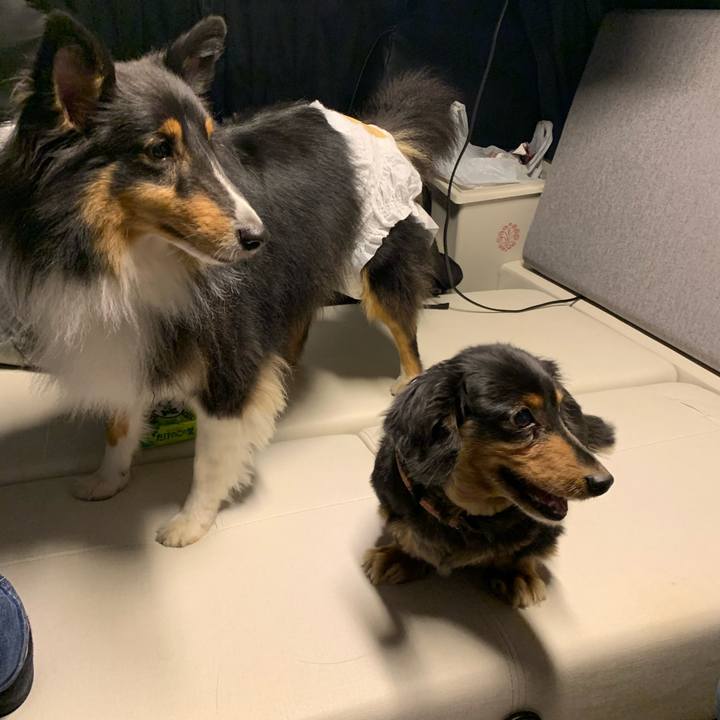 3471f7f0 52ac 4aa6 8be8 a60d335eca64 1604232058666