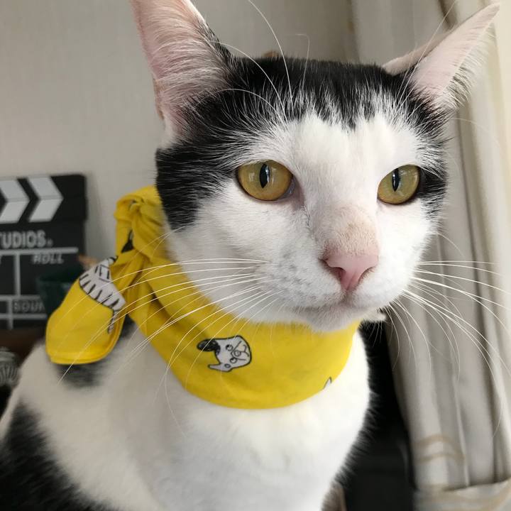 347213fd c440 43d8 93c4 b5440ff771a9 1538012092261