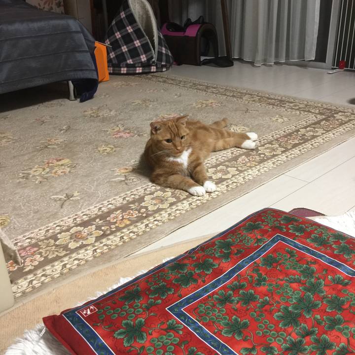 34722394 044a 456b 8ae8 7b58db8cd8c5 1590239538431