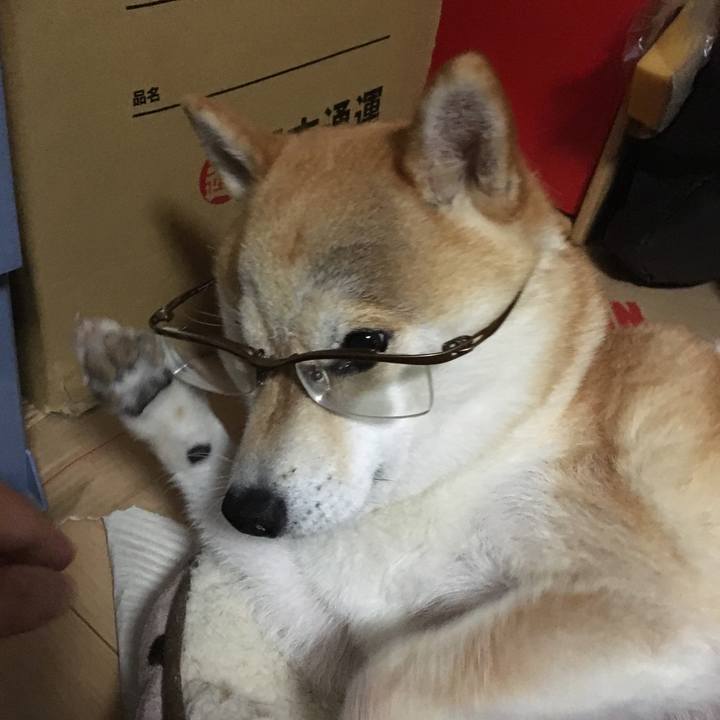 34724297 9d02 4e0b 943d 746865bf01ca 1540172870262