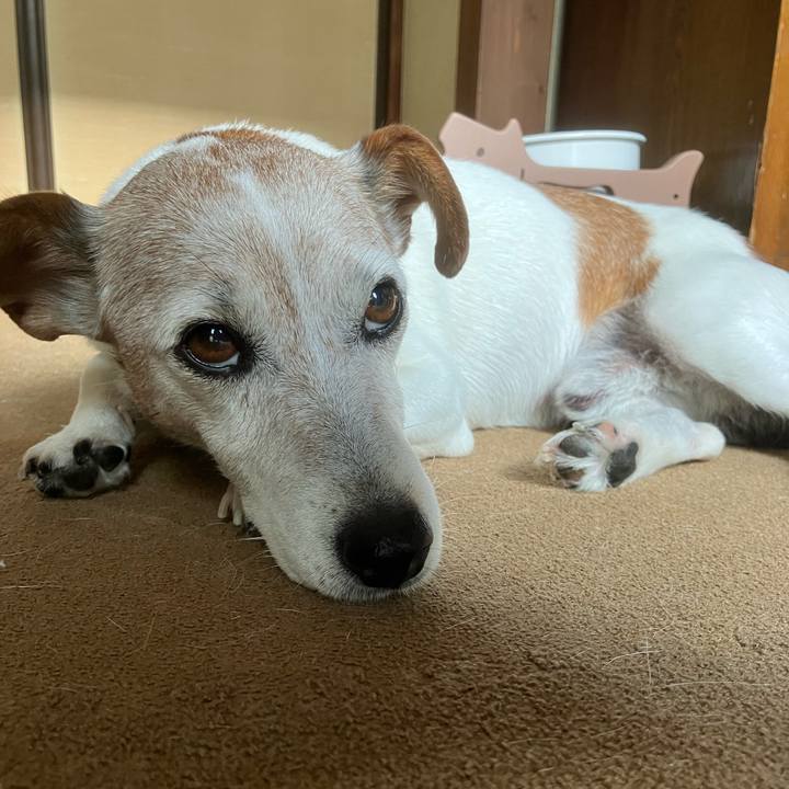 34726edd ab26 4d17 bd90 a92cd4e56a6f 1759189427450