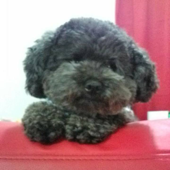 34727e81 de10 4ff3 bd9c 66dc05578b72 1552998178504