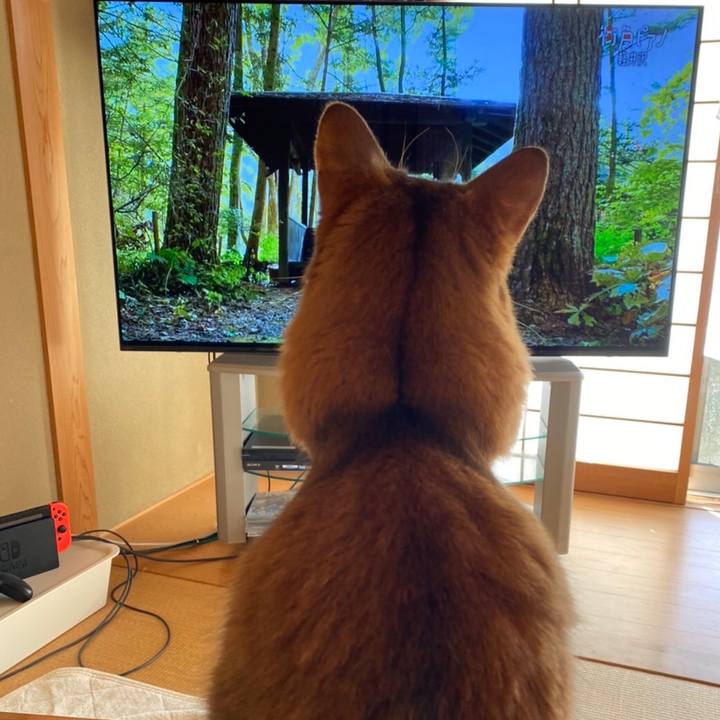 34728bee 838b 45ef 8ee9 044b9316e778 1639008293355