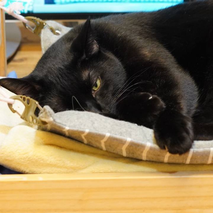 3472a854 2d0a 42ab b960 6ef4184a8d24 1570060551791