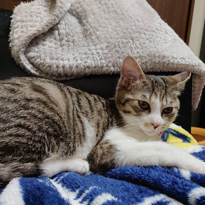 3472b69e 2b70 4961 b8f0 155097df06be 1548546666922