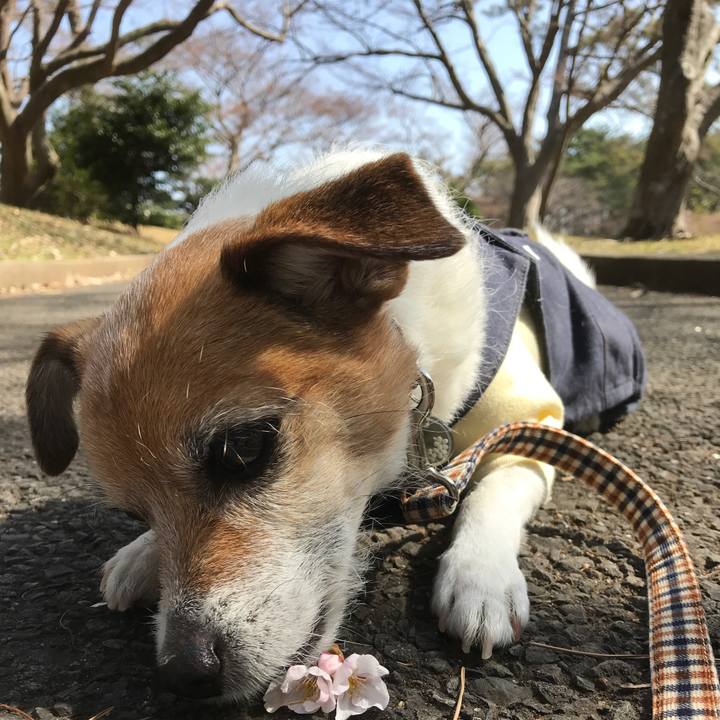 3472d256 9d05 411e b535 5fc2a6194adc 1584755629445