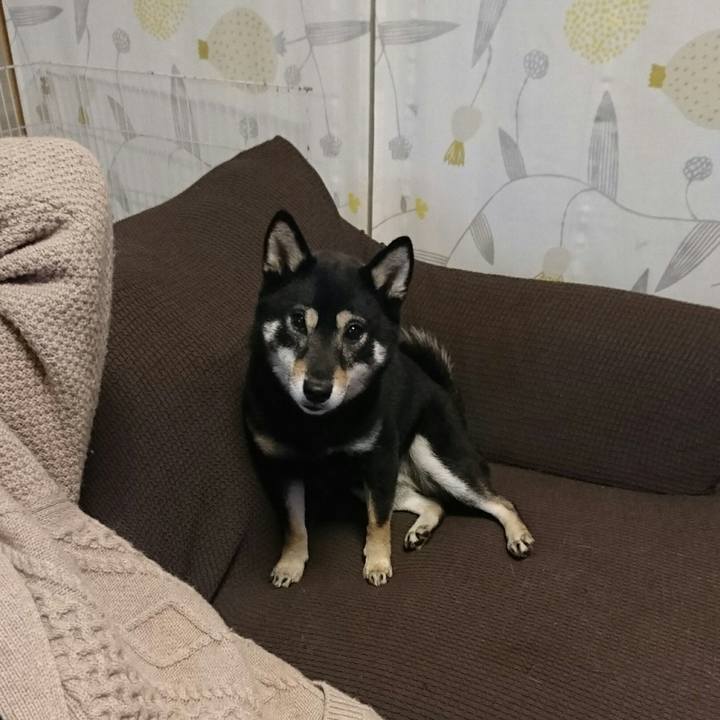 3473193e 9e24 4729 b152 a94f78da2d33 1515932226430