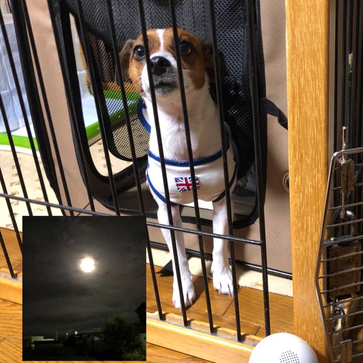 347326fd 6d53 404a 9694 6e05fef8f18a 1568289993985