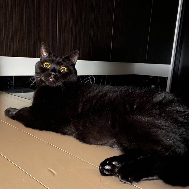 3473a990 45f8 4bb1 acab e0d9e683ba68 1601733266863