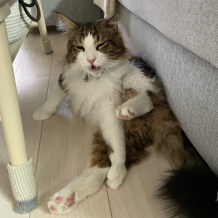 3473f059 8b60 4f71 813c 44b98985aaeb 1652558459619