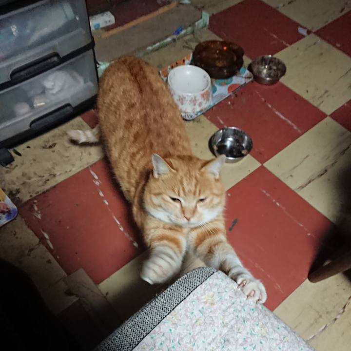 3473fc8c 5ecd 49f9 b50f 3315fb75ba72 1577130492177