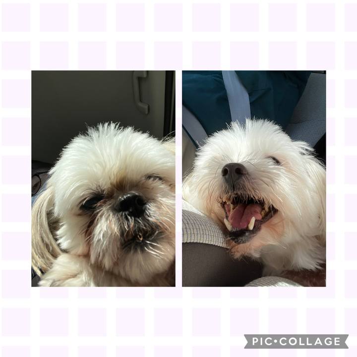 34740e8e f273 44f9 be30 65e6ea1c56fe 1723874535442