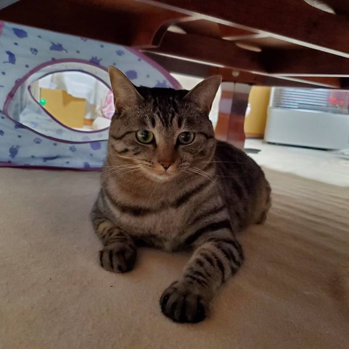 34742014 f983 4bb8 ae75 5ebcbda02ec5 1706079586899