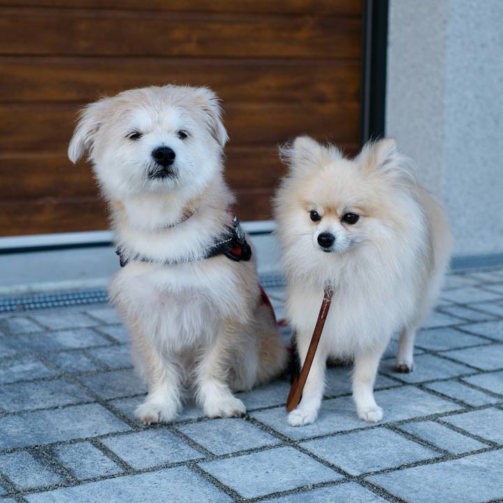 34743770 d4e7 4be8 a3dc 1971d4a42b1d 1758666990301