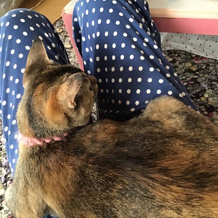 34743cbd 25e8 44de 8cce 2892078536ac 1591830332754