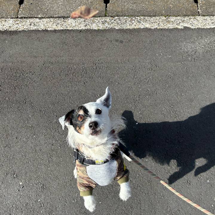 34744a41 d0d1 4d33 97d6 8150837180d7 1774570902145