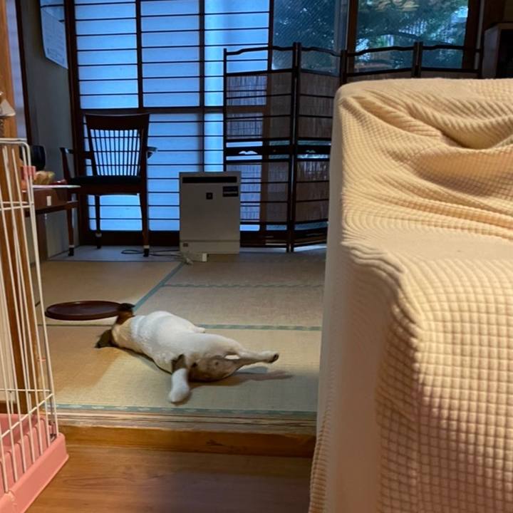 347470e8 55f6 4a55 b897 1119bc43fa5d 1669960087880