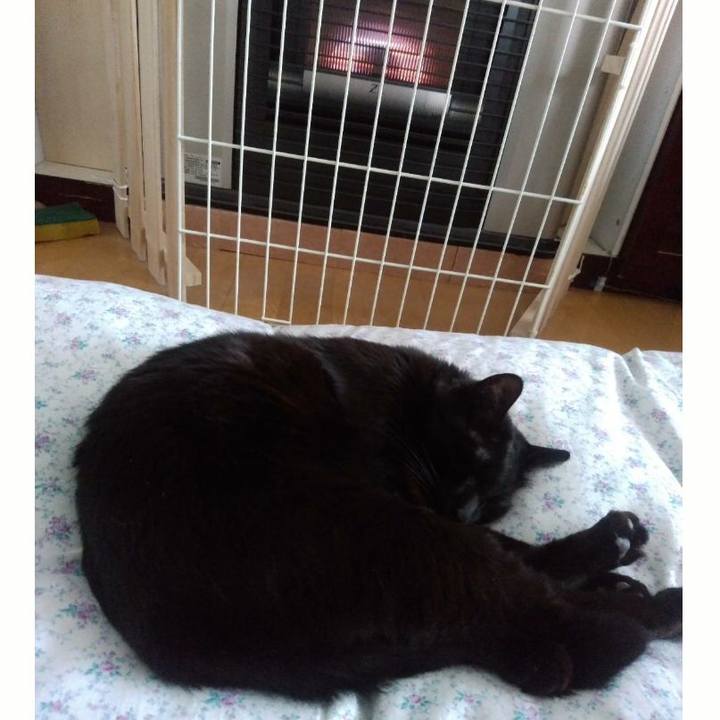 3474d494 3f46 4c48 94ab fcfc0cc6be0e 1573967831529