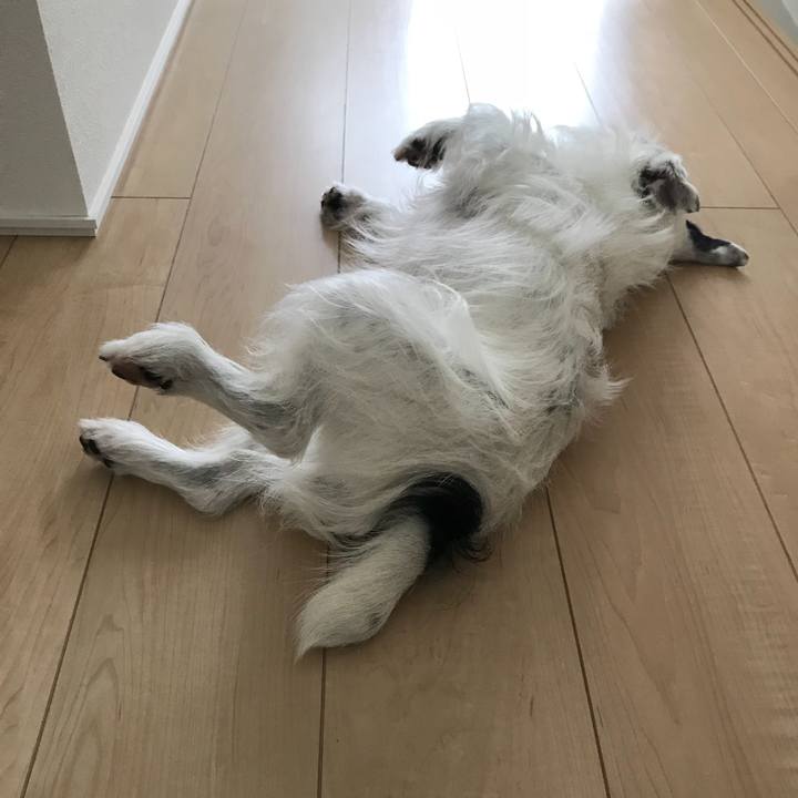 3474e86f 1e2b 4d5f 8a32 48f657e6a193 1530832660801