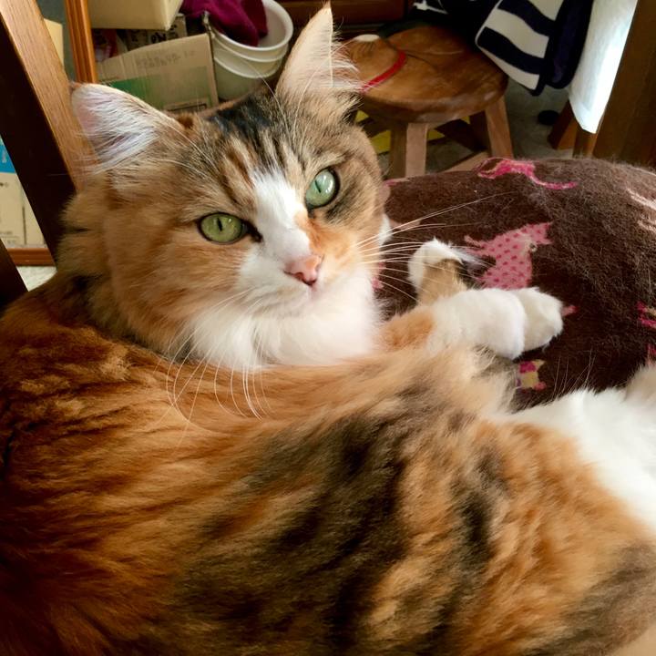 3474ed82 9682 44aa 9027 2d97d27baca9 1571114099956