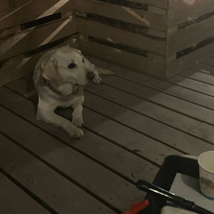 3474f45c d6f3 445a 9147 60a2b54ee58e 1678372400054