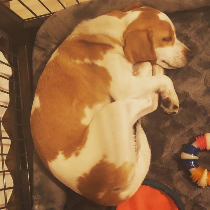 3474f9f0 9ce4 4230 a382 83dea91206ae 1550496736892