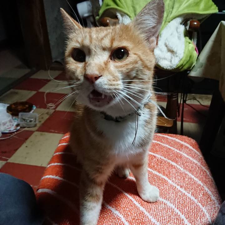 34750700 320e 4825 b550 10934b722949 1592248661003