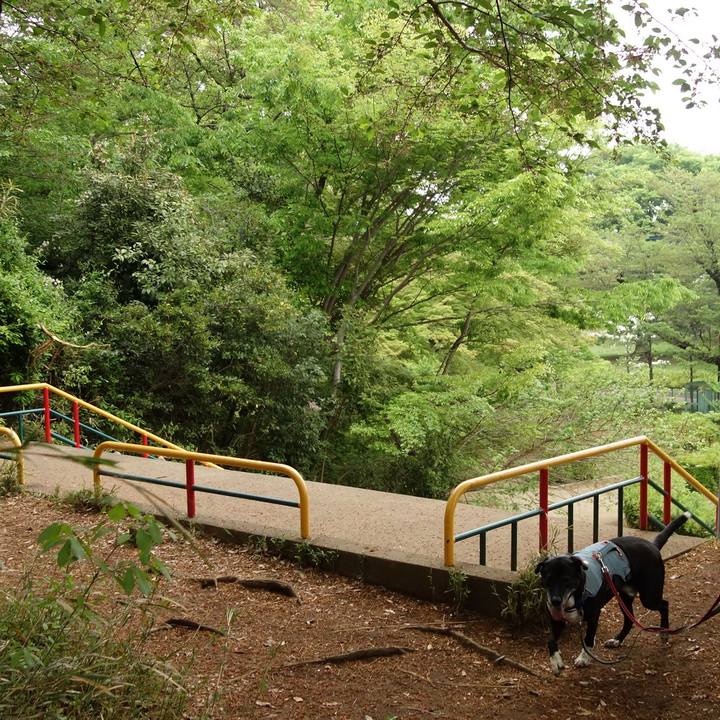 34750c9c f4d7 4b59 839a aff449ef7717 1745109935728