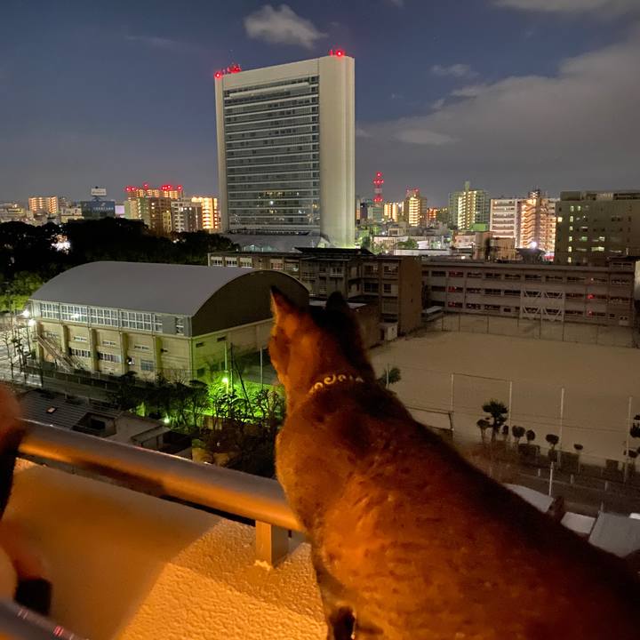 34752137 5e09 4aad 976a 3cdc5820a482 1609493551925